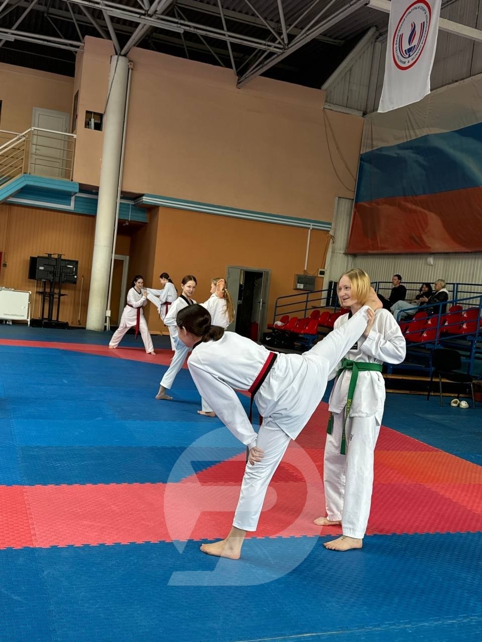 Их поезд сошел с рельсов, но они все равно поднялись на пьедестал! 4 золотых, 2 серебряных и 2 бронзовых медали — таков результат триумфального выступления ульяновских тхэквандистов на первенстве ПФО Их поезд сошел с рельсов, но они все равно поднялись на пьедестал! 4 золотых, 2 серебряных и 2 бронзовых медали — таков результат триумфального выступления ульяновских тхэквандистов на первенстве ПФО