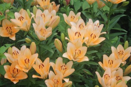 ����� ������� ����: ��� ������ ���������� ������������ � ����� ����