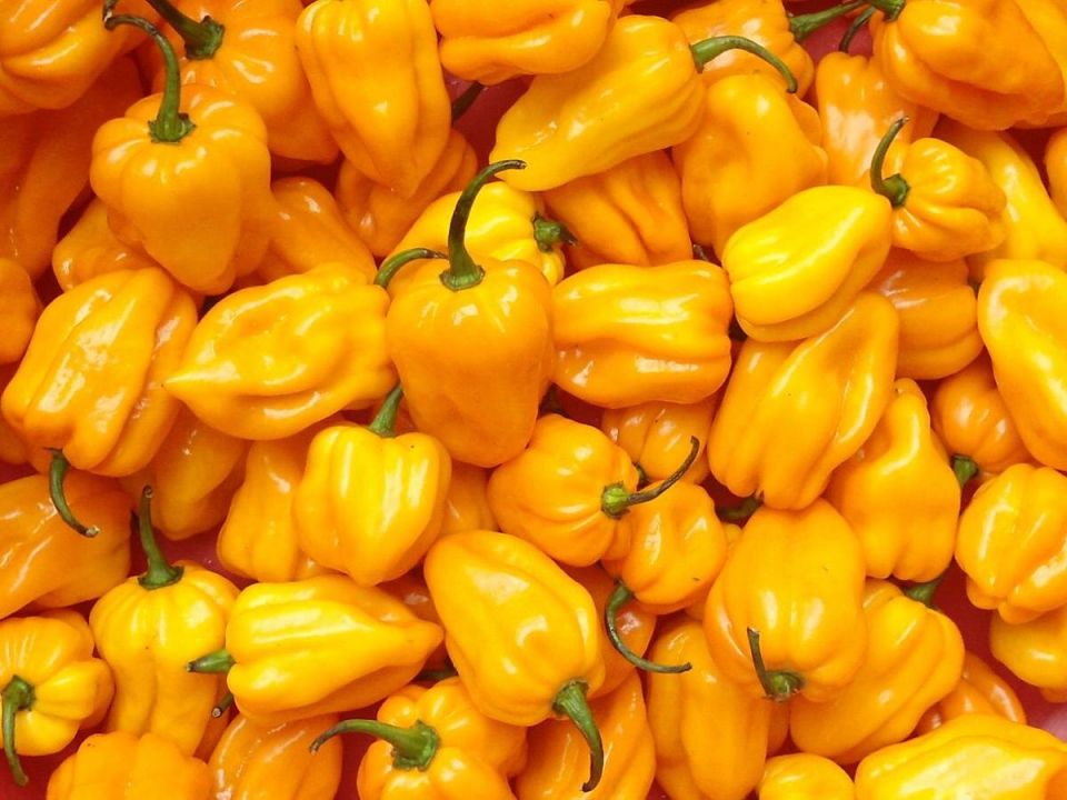 ��� ������� ��������� ����� ��������� ����������� ����� � �������� ������� �����