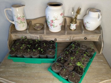 ��� ��������� ��������� �� �����: ���� � ������