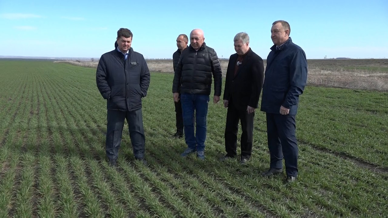 Радищевский район одним из первых в Ульяновской области начал весенне-полевые работы