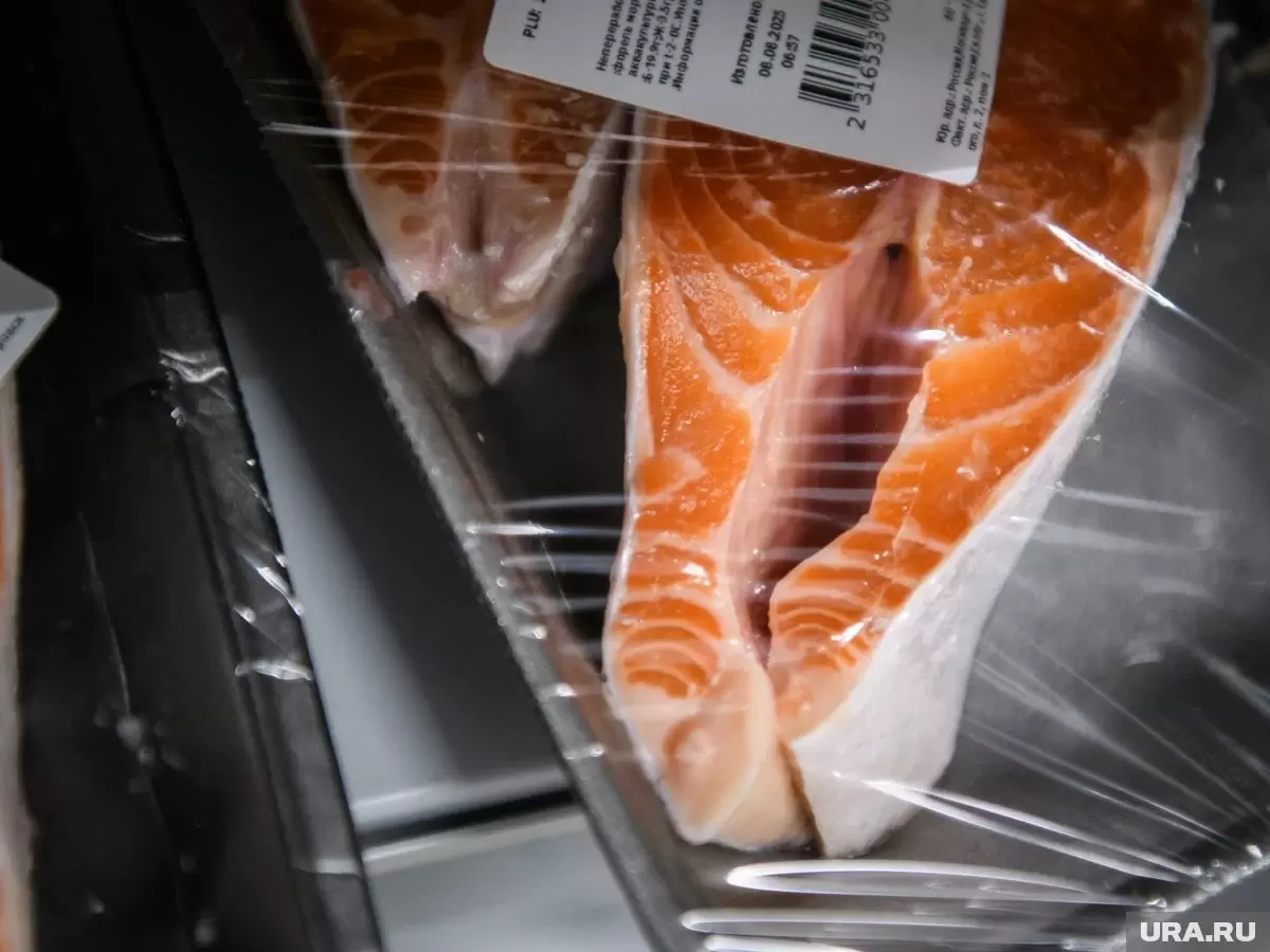 Снижение вылова лососевых: российская рыболовная промышленность на грани рекорда