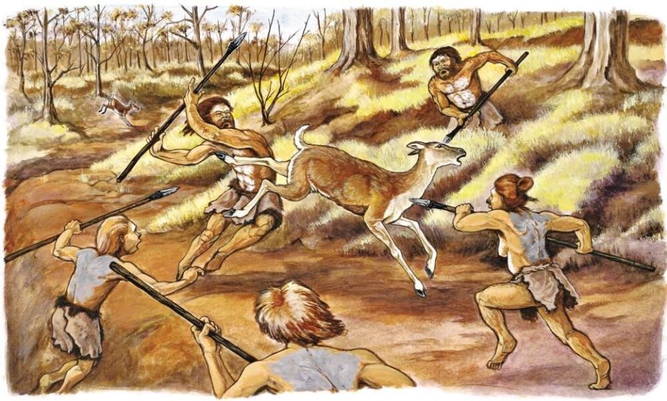 ���������������� ������� ��� ���: ��������� ���������� �����������