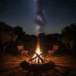 Почему сжигание садовых отходов — это настоящая угроза экологии