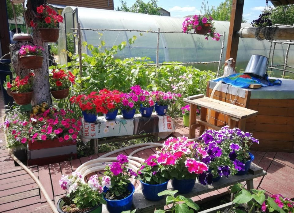 ��������� ����������� 2026: ��� ������� ��������� ������������ ��� ������