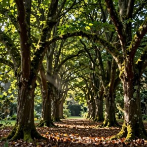 Побелка деревьев по-советски: пять рецептов для защиты вашего сада