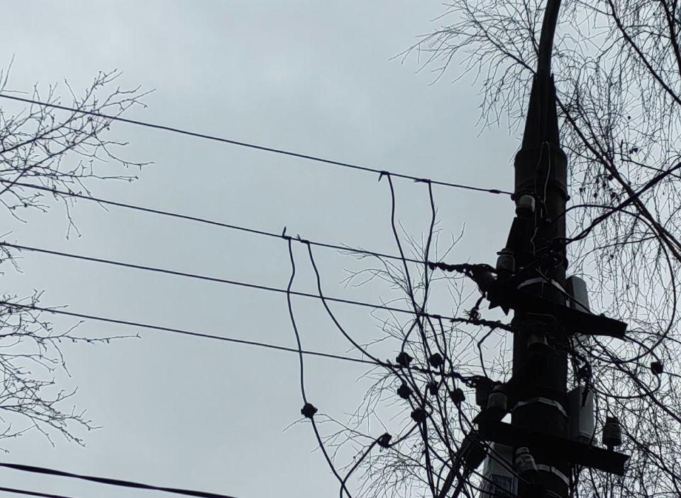 ����������� ��� ������������ �������: ����� ��������� ������� ��������� ������������� ���������