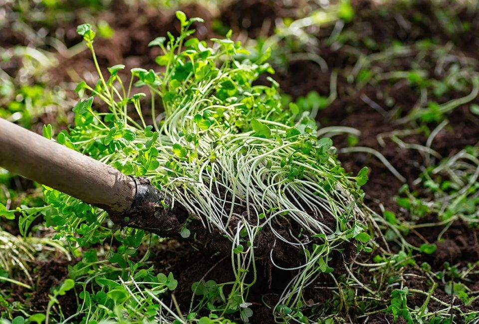 ������� ��������� ������: �������� ��� �������� ��� ���������