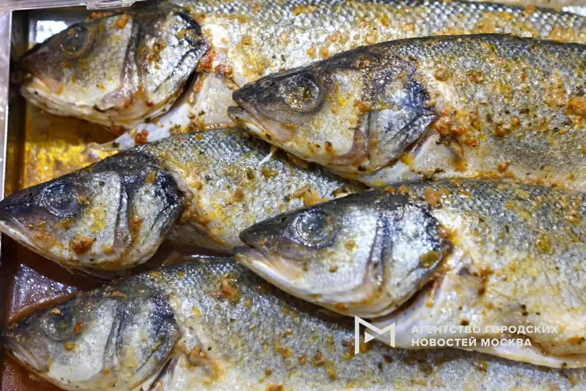 Цены на рыбу в России станут прозрачнее: новая система мониторинга