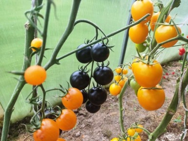 ������� 64 �����: ��� ���������� � ������� ������������ ���������