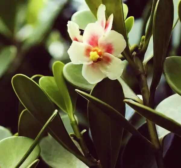 ������: ������� ����� ��� ����������� ��������� ����