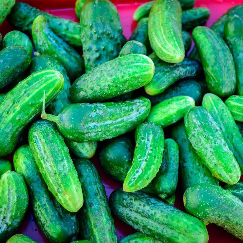 ������ ������: ��� ��������� ������ ����� ���� � �������� ����� ����