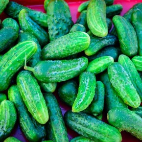 ������ ������: ��� ��������� ������ ����� ���� � �������� ����� ����