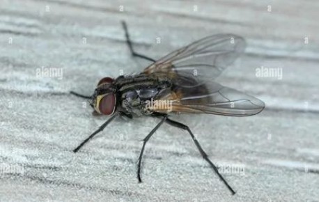 ��� �������� ���� ��� � ���� �� ����������� ��������� ���� �����?