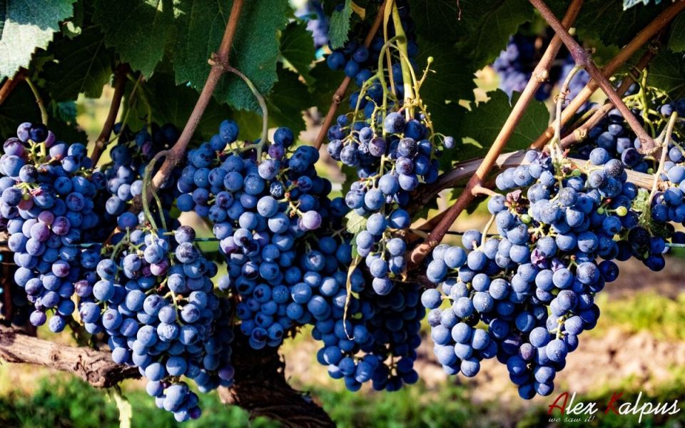 ���� ����: ���������� � ����� ���������� ������