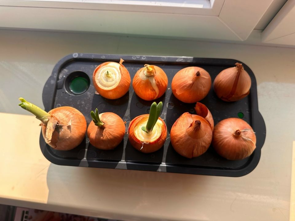 ��� ��������� ��� �� ���� ��� �����: ������ ������� ������