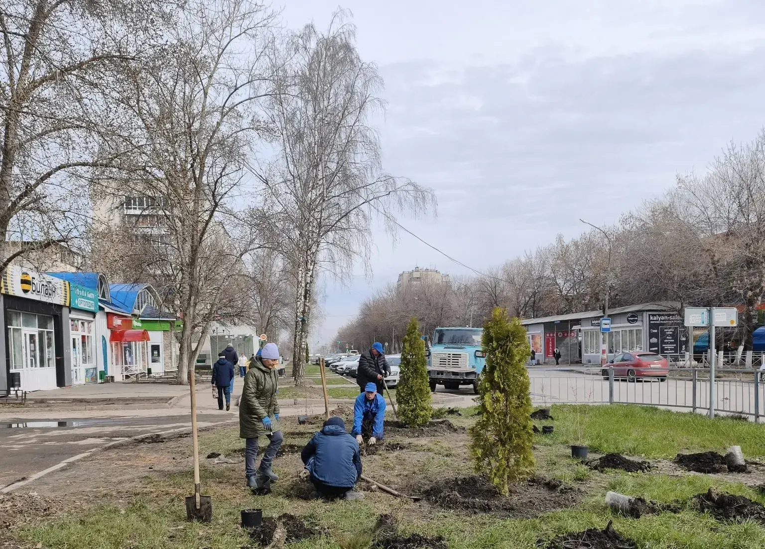 Ульяновские озеленители приступили к весенним посадкам деревьев и кустарников
