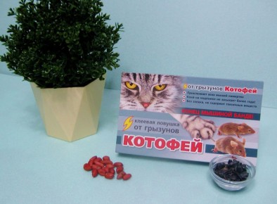 ����� ������� �������: ��� ���������� �� ����� ��� ������ ������