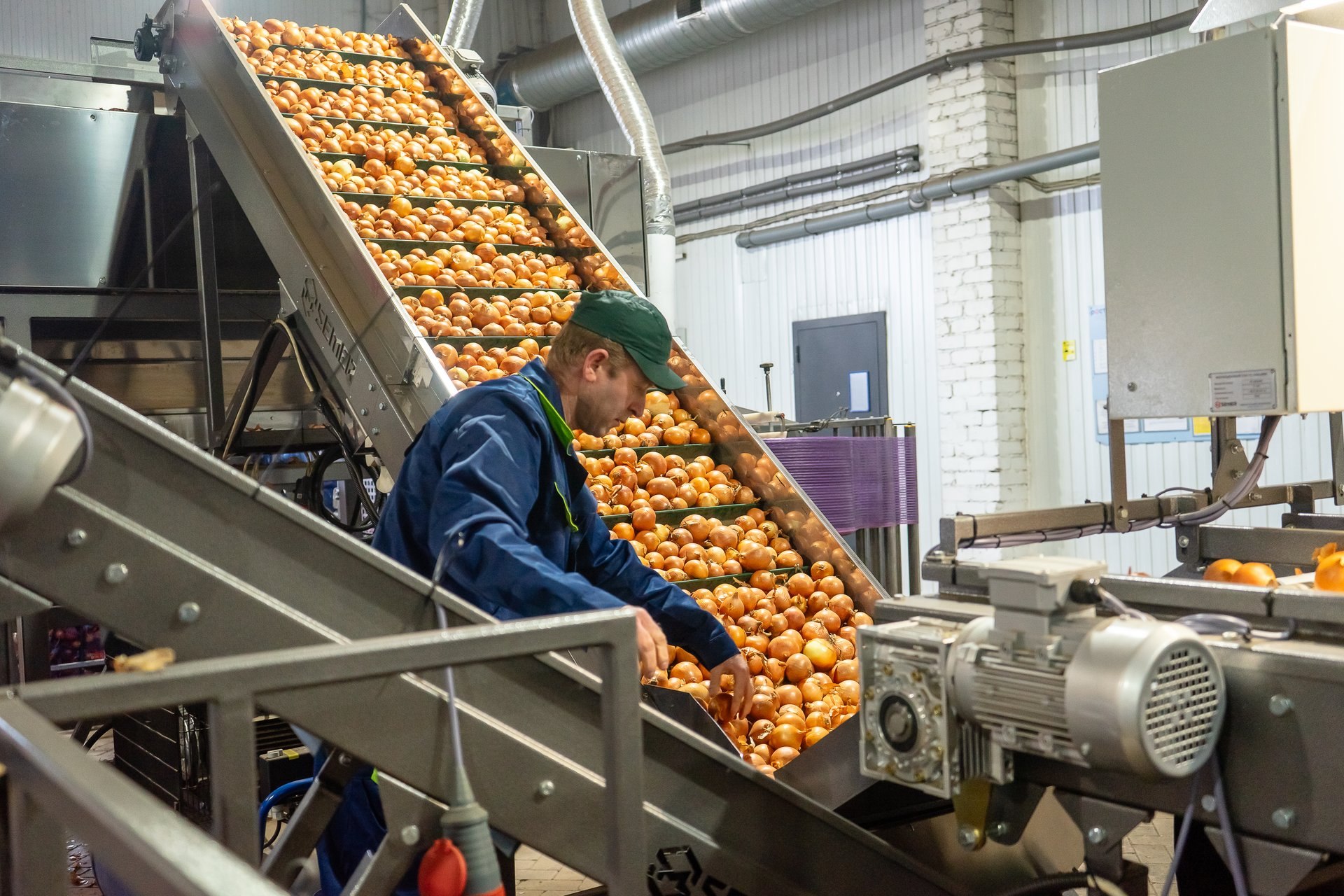 Продукция ульяновских фермеров выходит на полки ведущего ритейлера