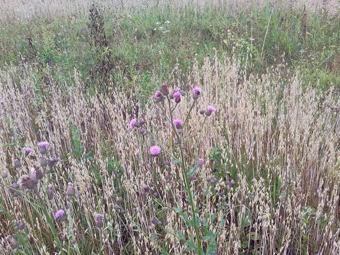 ����� �������: ���������� ������ ��� ������� ������?