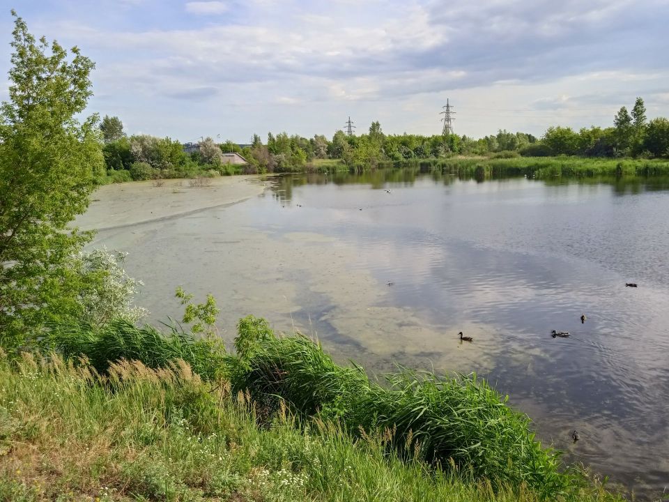 ��� ������ ������� ����� ������ �� ��������: ����������� �������������� ��-�������� ����������� ������� ����� �� ����� �������