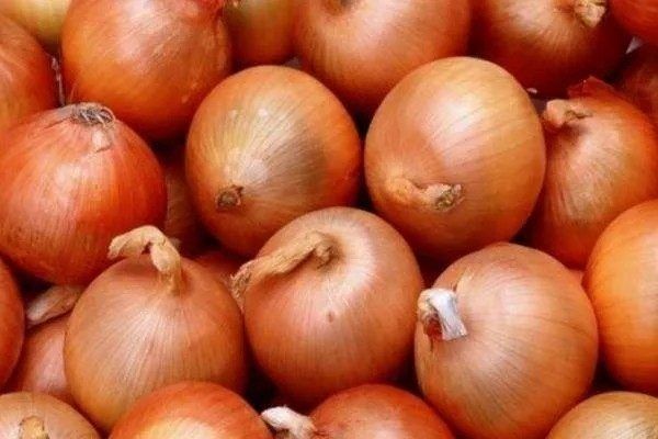 ��� ��������: ��� ��������� ������������ ������ � ������������ ���������� ������