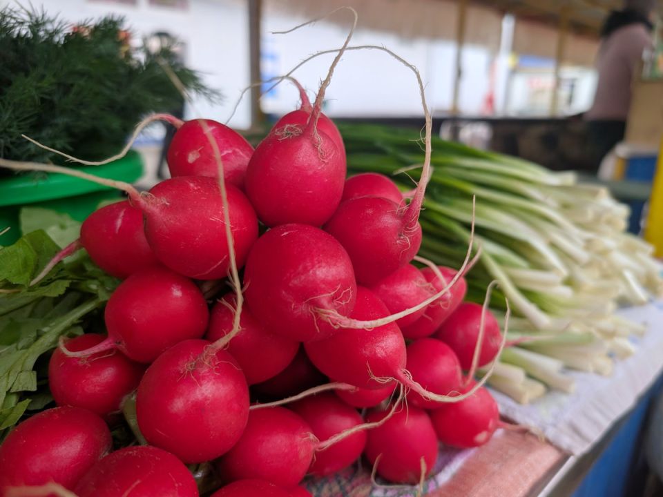 �������� ����� ���������: ��� ������� � ������?