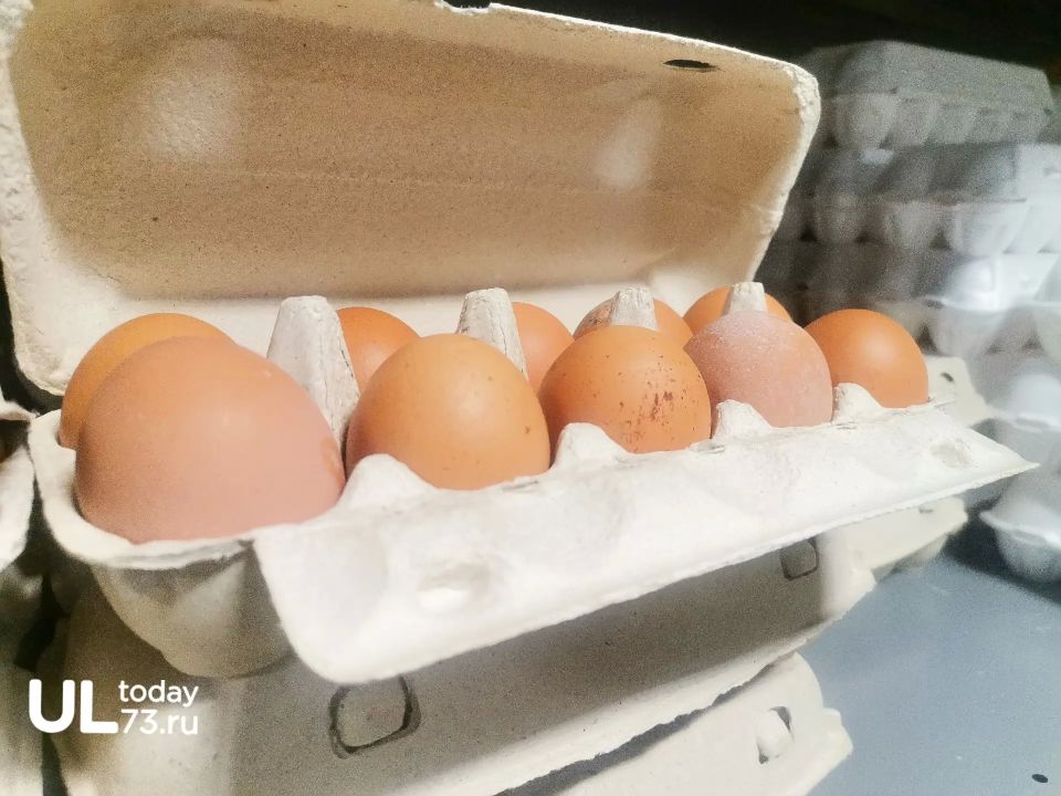 ���� �� ���� � ����������� ��������� �������� ������ �� ����� ������ � ������