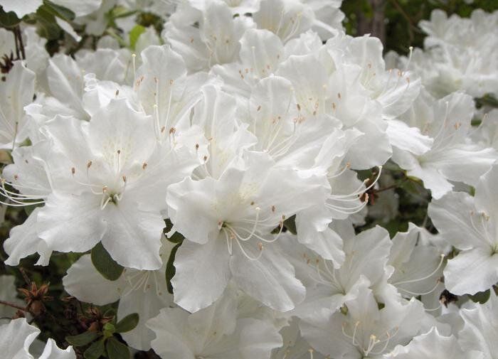 ���� � ����: ����� ��� ����� ����� ������ ����� ��������