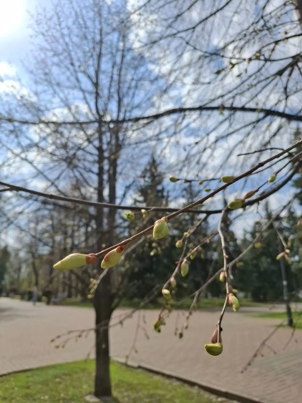 ������ ����, ������!. 14 ������ �������� ������������� ���� ���������� �����, ���� ����������� ������ ��������-�������������� ������� �� � �������� ����