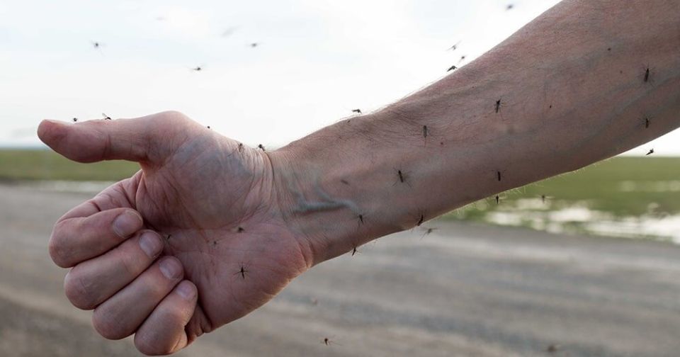 ������ ������ ����� �����������: �� ��� �������� �������� � 2025 ����