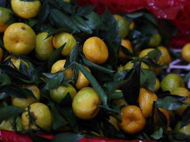 ��������� �����������: ����� ���������� ������������� ��� ��������