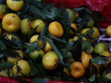 ��������� �����������: ����� ���������� ������������� ��� ��������