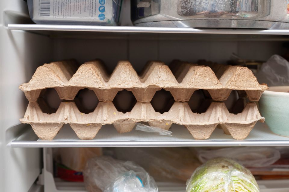 13 ��������, ������� �������� ������������ ������ ������ �������