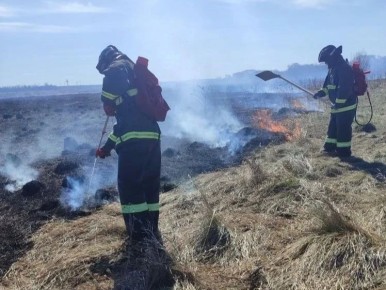 За сутки в Ульяновске потушили 12 пожаров