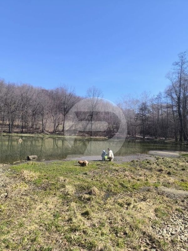 �������� � ��������. ������� �������� �� �������� ����������� � ����