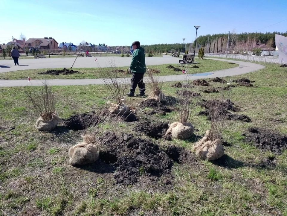 � ������ ��� ��������� �������� ����� 200 �����������