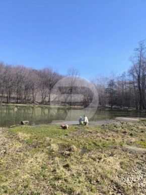 �������� � ��������. ������� �������� �� �������� ����������� � ����