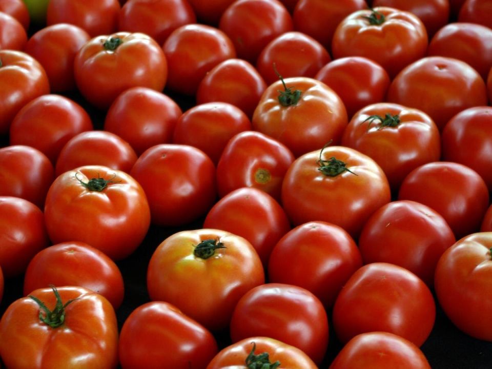 ��� ��������� ������� � ����� �������� �������� ���������� ������� � �������� ��������