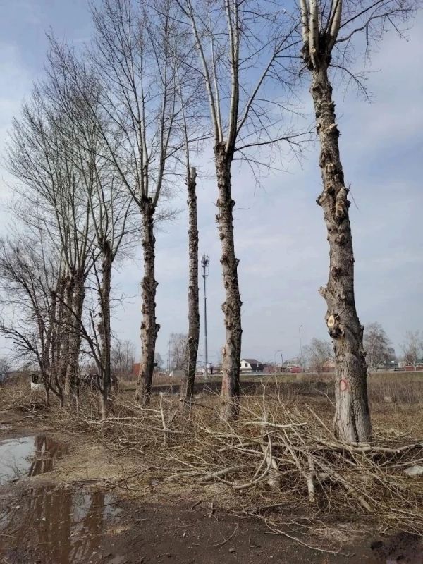 ������������ � ������� ������� � ��������� � ������ �� ���������������