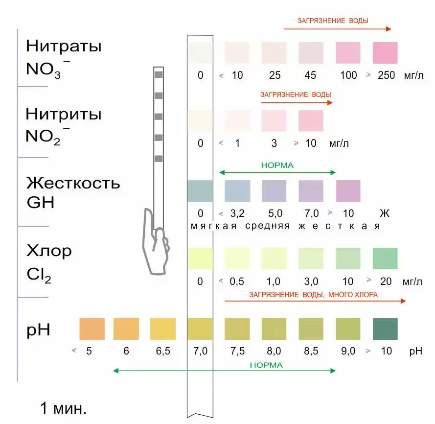 Жесткость воды: секрет кристальной чистоты посуды в вашем доме