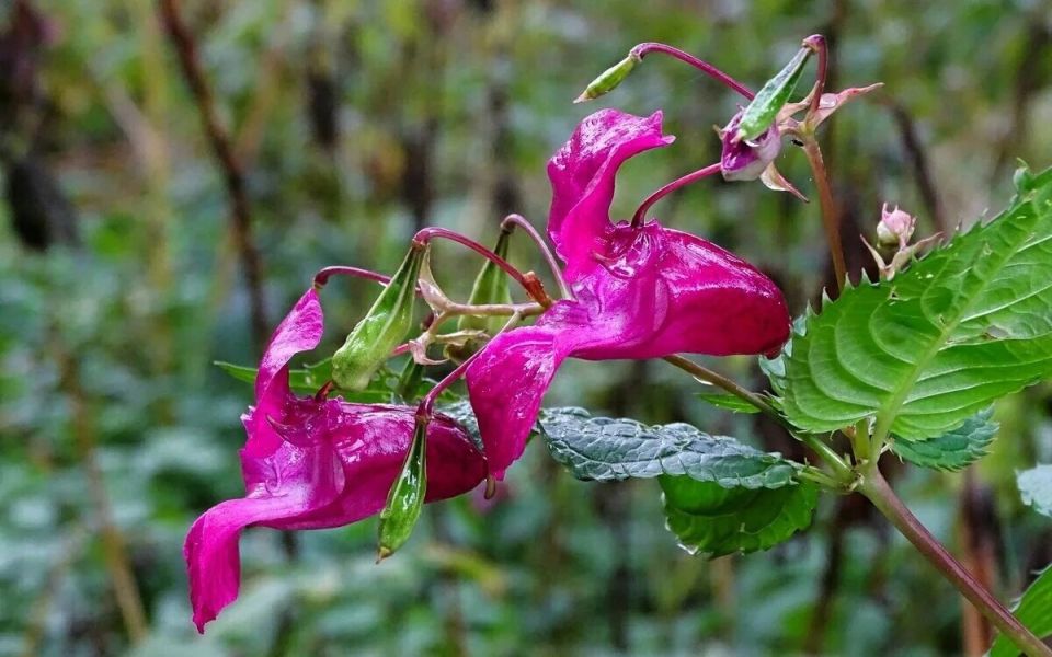 �������� � ������� �����������: ��� ����������� ��������� ����������� ���������� �����