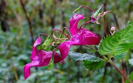 �������� � ������� �����������: ��� ����������� ��������� ����������� ���������� �����