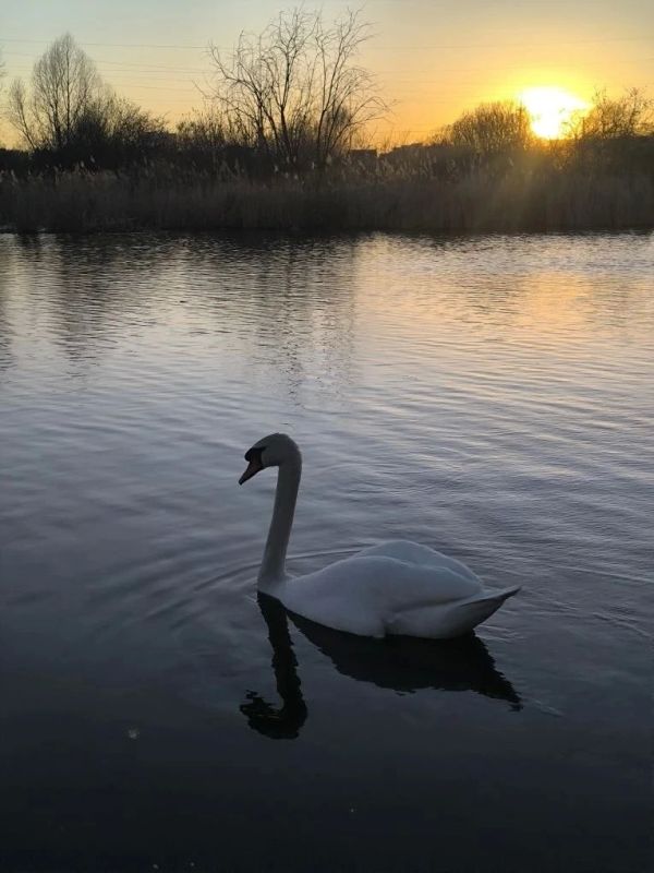 ������ ����, ������!. ��� � ������ ������ �������� �����! 17 ������ ��������� ���� ��������� ������� ���������� ��� � ���������� ����� ��� ��, ������������� ���� ����, ������������� ���� ����� � ���� ������������ ����