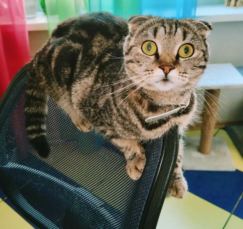 ��������� ����� ��������� ���������� �������� �������