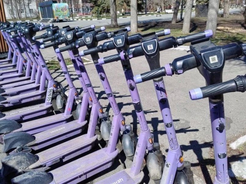 � ���������� ������ ���� ������������ ��� � �������� ����������� � ���������