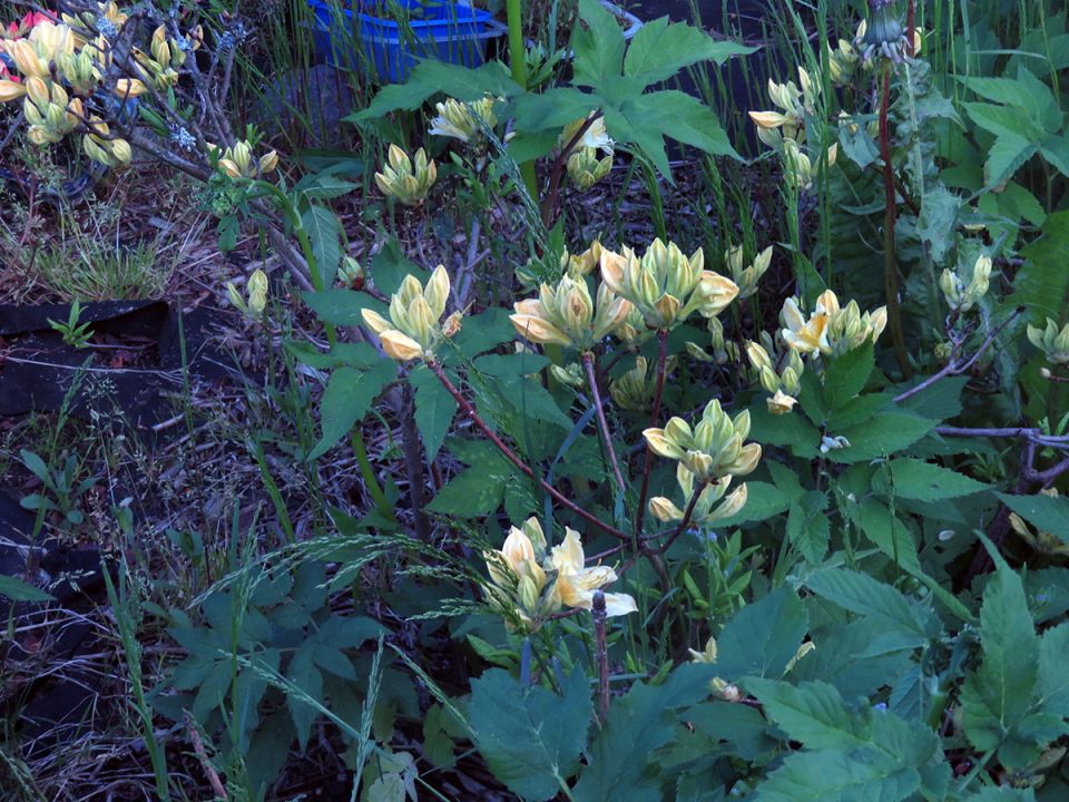 ����������� �����: ��� ����� � ����� ���������� ������