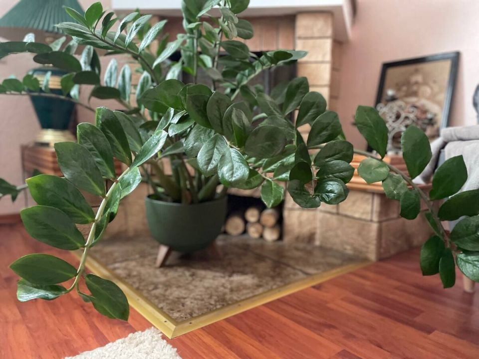 ��� ������� ������ ������ ���� �������������� ���� �������������