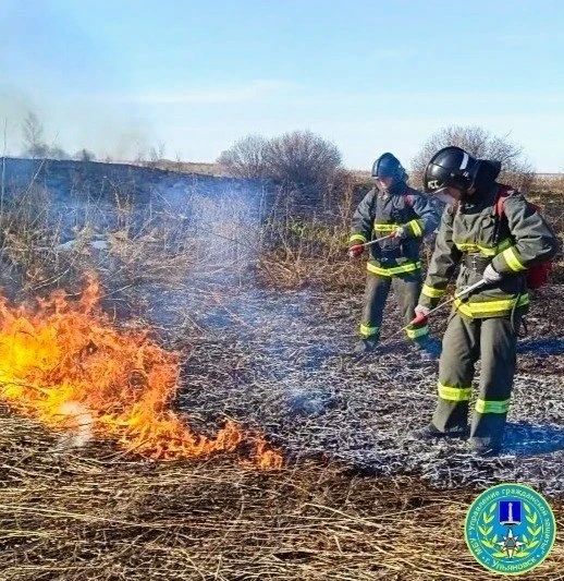 � ���������� ���������� �������� ����������� �����