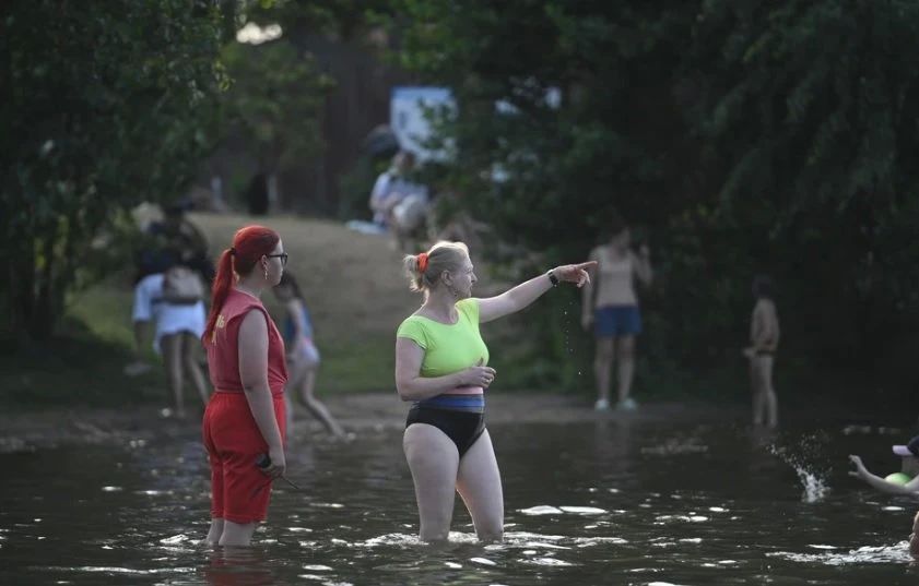 �� ����������� ����� ���������� �������� ������������� �������� ��������